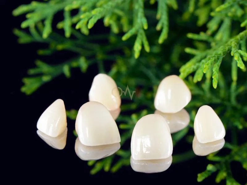 Dental SPA Treatments
